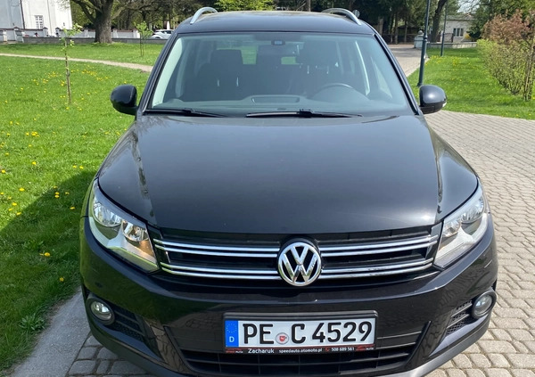 Volkswagen Tiguan cena 52900 przebieg: 221100, rok produkcji 2013 z Olsztynek małe 172